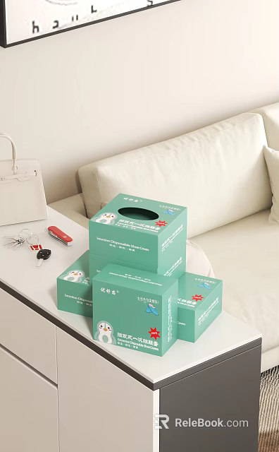 Green Tissue Boxes With Cartoon Patterns On Living Room Side Table Near Sofa 3d model 