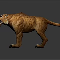 Roaring Large Feline 3D Model With Brown Fur Sharp Claws And Open Mouth