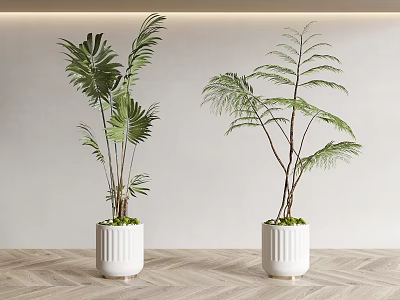 Two Potted Green Plants In White Ribbed Pots On Wooden Floor With Light Wall Background 3d model