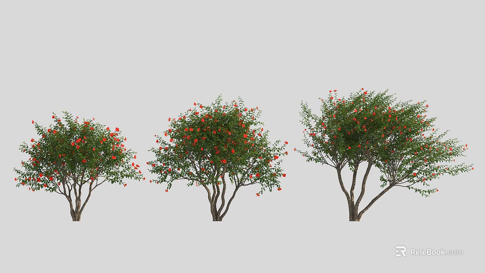 Three Healthy Trees Bearing Red Fruits Lush Green Foliage And Sturdy Trunks 3d model 