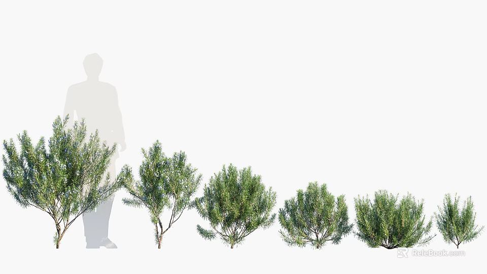 Different Types Of Fresh Green Flowering Plants And Shrubs For Garden 3d model 