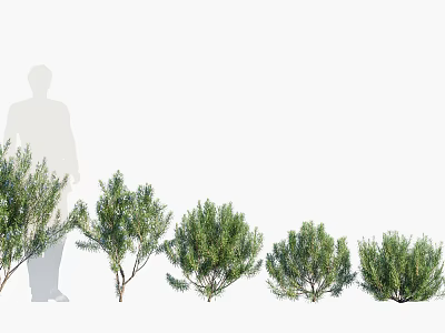 Different Types Of Fresh Green Flowering Plants And Shrubs For Garden 3d model