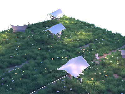 Beautiful Multiple Tents On Lush Green Grassland With Small Flowers And Colorful Decorations 3d model