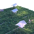 Beautiful Multiple Tents On Lush Green Grassland With Small Flowers And Colorful Decorations