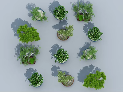 Various Potted Bonsai Plants With Different Green Foliage And Decorative Containers 3d model