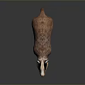Realistic 3D Badger Model With Brown And White Fur Standing Pose