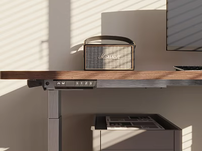Modern Indoor Speaker On Wooden Desk With Natural Light And Monitor Setup 3d model