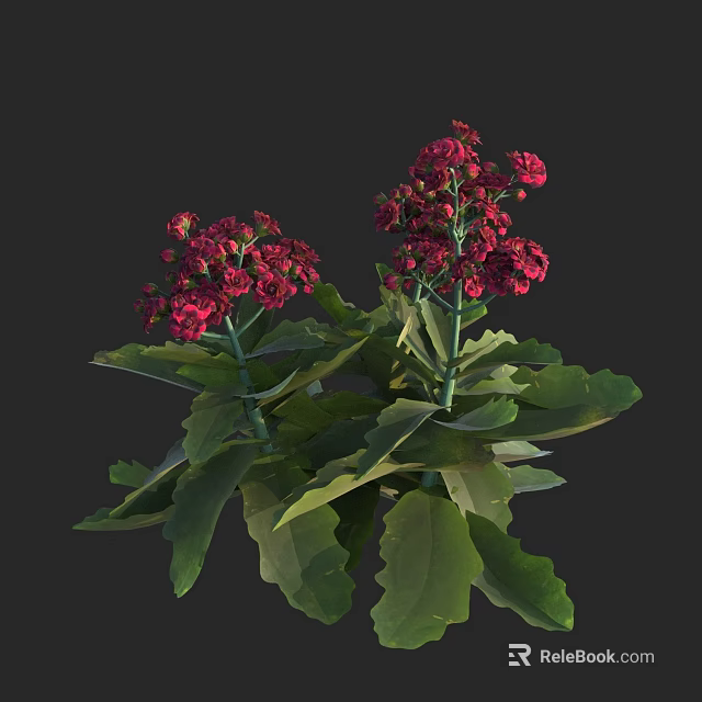 Vibrant Red Flower Clusters With Lush Green Serrated Leaves On Green Stems 3d model 