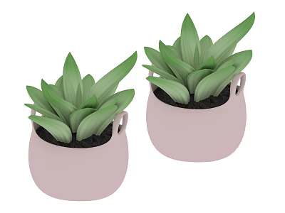 Green Leafy Potted Plants In Pink Pots For Indoor Home Decor 3d model