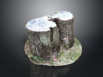 Wooden Stone Tree Stumps with Rustic Bark Texture Natural Cross Sections and Grass Base 3d model
