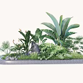 Tree Pit with Lush Green Plants Tropical Foliage Small Stones and Natural Design