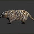 Badger with distinctive brown white striped fur and plump body appearance