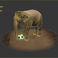 Elephant Playing with Black and White Soccer Ball on Sandy Ground
