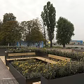 Outdoor Wooden Benches Surrounded by Colorful Flowers and Green Plants in Park Setting