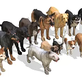 Collection of 14 Different Dog Breeds Including Doberman Labrador and Bulldog