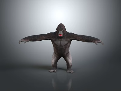 Gorilla Standing With Arms Outstretched On Gray Background And Reflective Floor 3d model