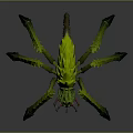 Detailed Green Spider 3D Rendered Model Featuring Sharp Legs And Spiky Body Texture 3d model