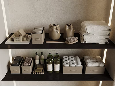 Organized Modern Bathroom Shelves With Towels Bottles Boxes And Brush 3d model