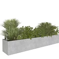 Rectangular Gray Concrete Planter with Various Green Potted Plants and Lush Foliage 3d model