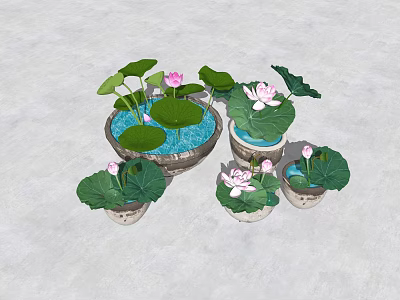 Beautiful Courtyard Garden With Multiple Potted Pink Lotus Flowers And Green Leaves 3d model