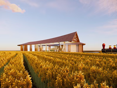 Modern Building In Golden Wheat Field With Sloped Roof And Glass Windows Under Sunset Sky 3d model