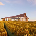 Modern Building In Golden Wheat Field With Sloped Roof And Glass Windows Under Sunset Sky