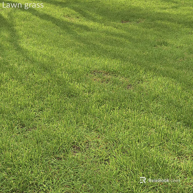 Lush Green Ground Cover With Sunlit Grass And Natural Shade 3d model 