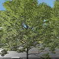 Modern Industrial Factory Complex With Green Roofs And Surrounding Greenery