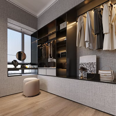 Modern Walk in Closet Interior With Hanging Clothes Storage Cabinets And Mirror 3d model