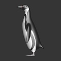 Modern Penguin Antarctic Penguin Little Penguin Cartoon Penguin 3d model