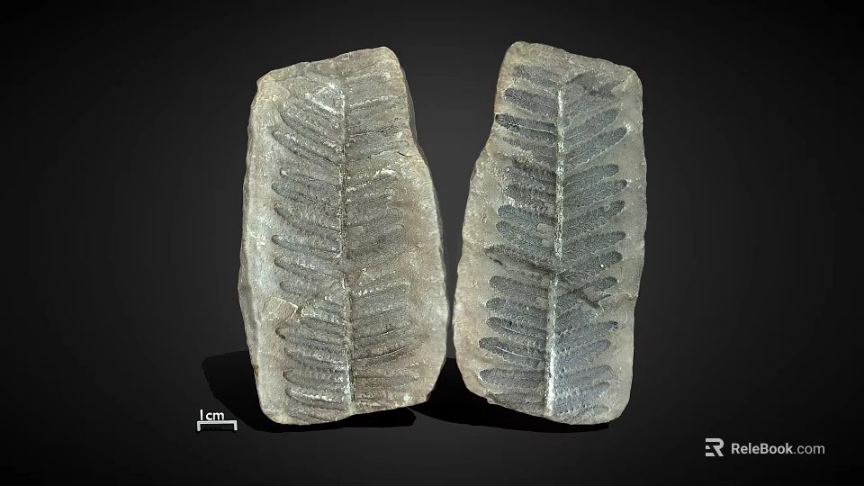 Two Natural Stone Decorative Pieces With Leaf Like Texture And Gray Surface Finish 3d model 