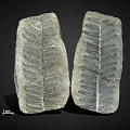 Two Natural Stone Decorative Pieces With Leaf Like Texture And Gray Surface Finish
