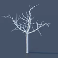 Minimalist White Leafless Tree with Intricate Branch Structure on Gray Background 3d model