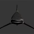Detailed Shark Figure With Pointed Dorsal Fin Grey Skin And Shiny Reflections
