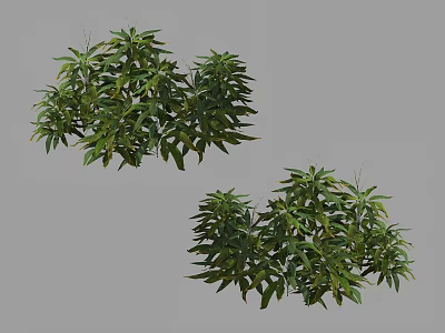 Green Shrubs With Lush Green Foliage And Natural Bush Shape For Garden 3d model