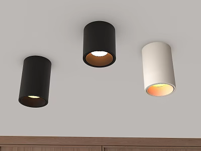 Black And White Ceiling Mounted Downlights Spotlights With Warm Light 3d model