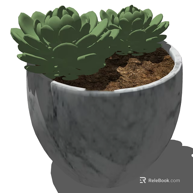 Green Succulent Bonsai Potted Plant in Gray Marble Pot with Brown Soil 3d model 