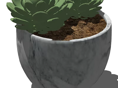 Green Succulent Bonsai Potted Plant in Gray Marble Pot with Brown Soil 3d model