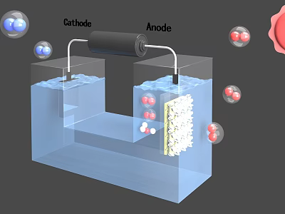 Electrolytic Cell With Cathode Anode Water And Rising Gas Bubbles 3d model