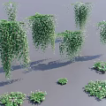 Various Lush Hanging Basket Plants With Trailing Green Leaves And Foliage