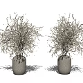Two Textured Gray Vases with Dried Flowers on White Minimalist Background
