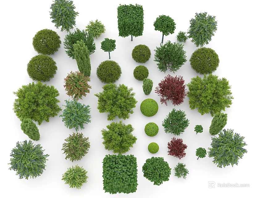 Various Arbor Trees With Different Shapes And Green Foliage For Landscaping 3d model 