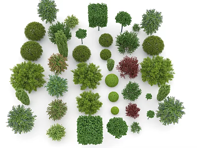 Various Arbor Trees With Different Shapes And Green Foliage For Landscaping 3d model