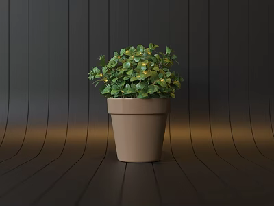 Bonsai Potted Plant with Green Lush Leaves in Brown Ceramic Pot against Dark Wooden Background 3d model