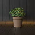 Bonsai Potted Plant with Green Lush Leaves in Brown Ceramic Pot against Dark Wooden Background