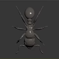Metallic Ant 3D Model With Detailed Shiny Body On Dark Background