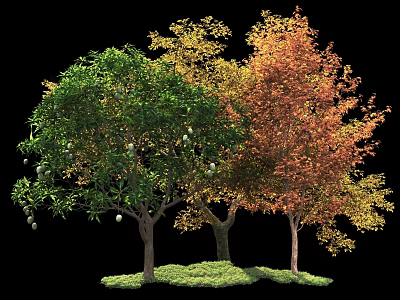 Three Arbor Trees Displaying Green Gold Red Foliage And Lush Grass Around Brown Trunks 3d model