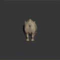 Light Brown Rhino Standing on Dark Reflective Surface with Smooth Skin 3d model