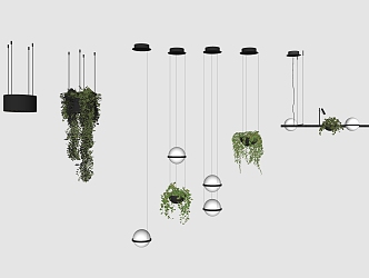 Modern Chandelier Popular Plant Chandelier 3d model