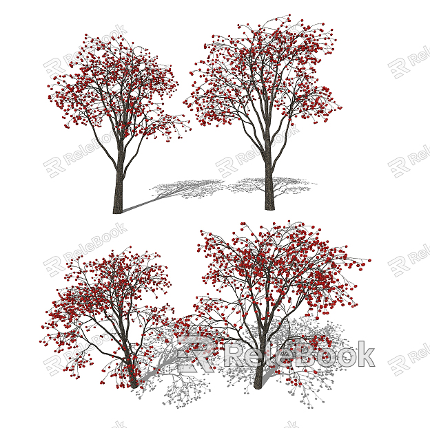 Modern Fruit Tree Fruit Tree Persimmon Tree model